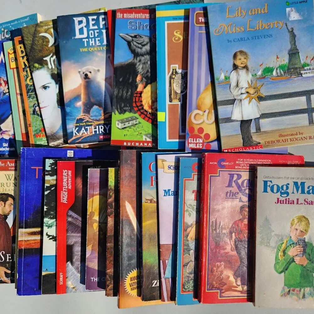 4 Book Bundle Lot Set Chapter Books Young Adult Literature Novels Mystery Books